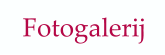 Fotogalerij